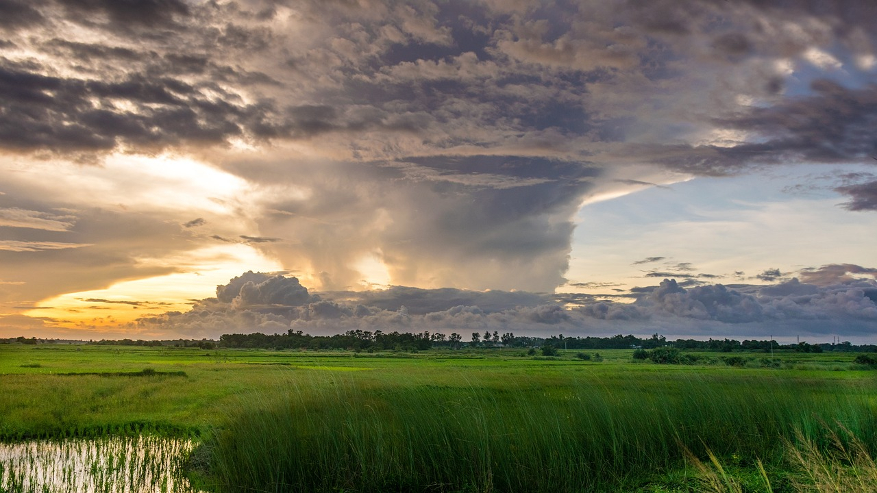 Klimabedingte Herausforderungen treiben