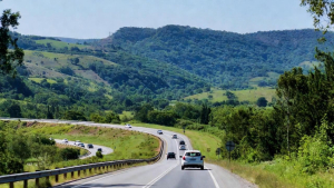 information about the Uruguayan used car market