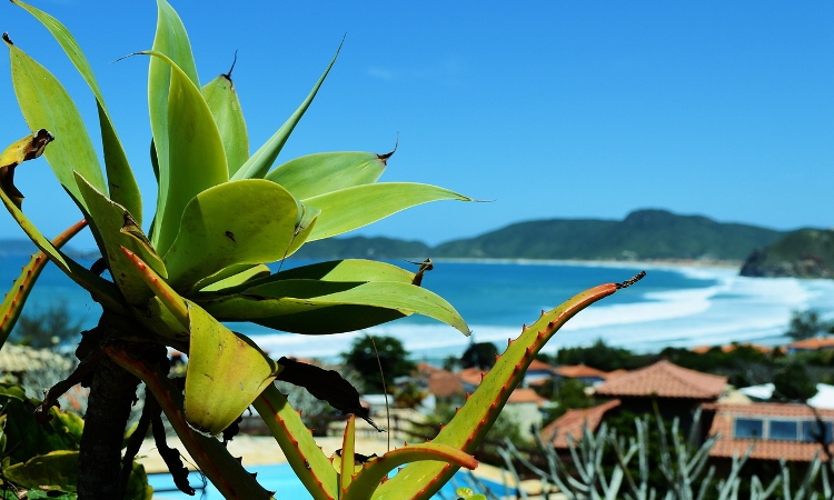 Air Travel in Brazil