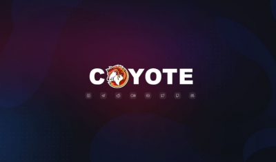 DexCoyote - a rising star in the venture capital market